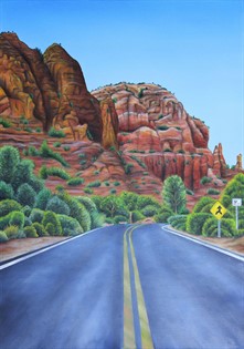 Coconino National Forest